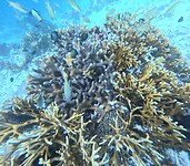 Aquarium