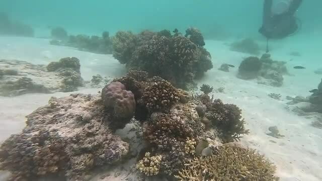 Just another day in dive paradise...