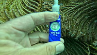 Superglue voor het koraal