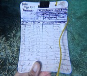Notities Fish Identification taak