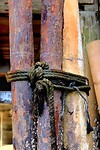 Hout en touw
