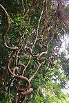 Taman Peranginan Tasek Lama (park)