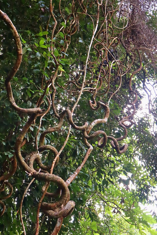 Taman Peranginan Tasek Lama (park)