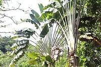 Taman Peranginan Tasek Lama (park)