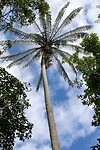 Bako National Park