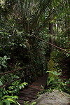 Bako National Park