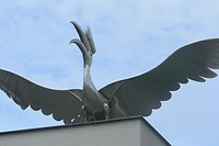 Hornsbill statue Kuching