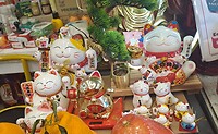 Katten-speeltjes