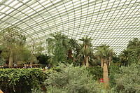 Gardens by the Bay - Flower Dome