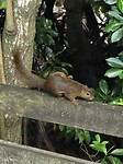 Sungei Buloh Wetland Reserve