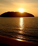 Coral beach