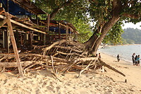 Coral beach