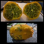 Kiwano