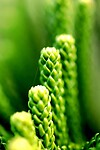 Ook mooi macro