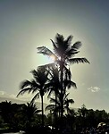 Playa Jardín