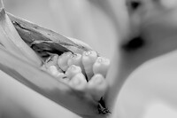 Macro-Botanische tuin Puerto de la Cruz