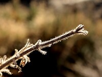 Detail fotografie