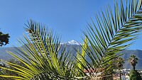 De Teide van Puerto dl Cruz