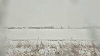 Den Bosch - Utrecht