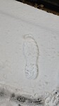Sneeuwprint