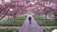 Botanical Garden1
