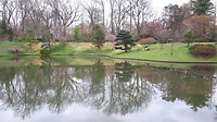 Botanical Garden2
