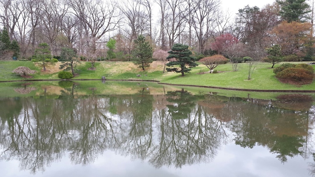 Botanical Garden2