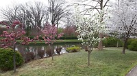 Botanical Garden3