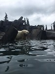 Saint Louis Zoo 2