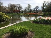 Tower Grove Park