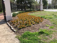 Tower Grove Park 4