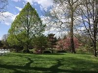 Botanical Garden 15 april 2