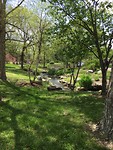 Botanical Garden 15 april 3