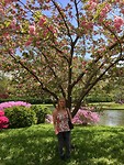 Botanical Garden 15 april 4