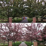 Botanical Garden