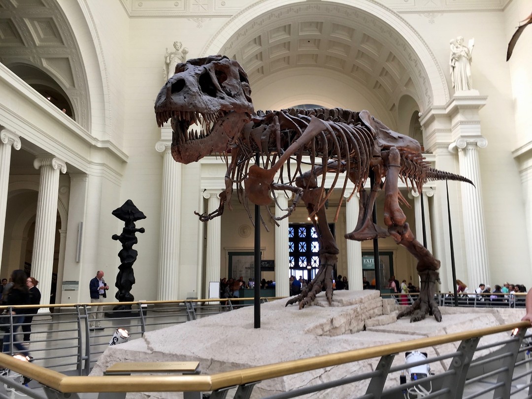 T-Rex
