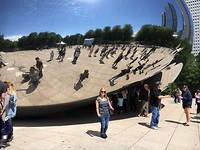 Bij the Bean