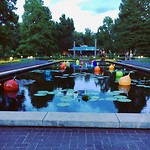 Botanical garden by night