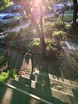 Early morning