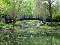 Lafayette Square park