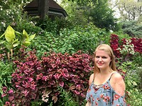 In Lafayette square park