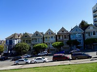 Painted Ladies