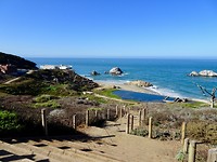 Sutro baths