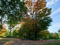 Central Park