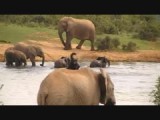 Lekker in het water spelen!