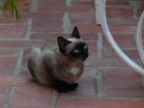 SAM_5326