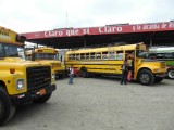 Chickenbus!