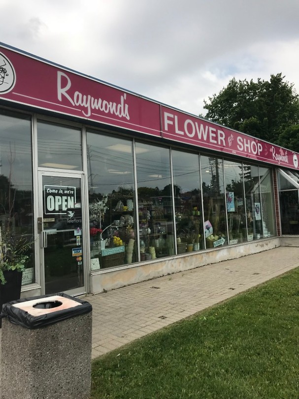 Raymond's Flowers Foto Marissa Koene’s reisblog