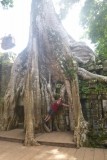 Ta Phrom