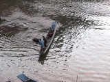 Operatie: waterbuffel